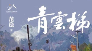 311 174.jpg