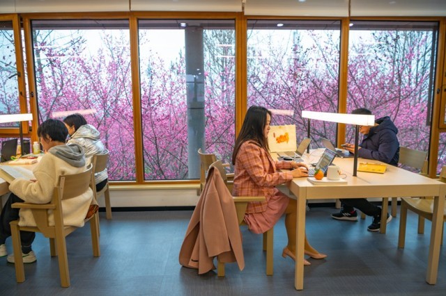 2月16日,市民在江北区图书馆鸿恩寺馆内看书。邹乐摄